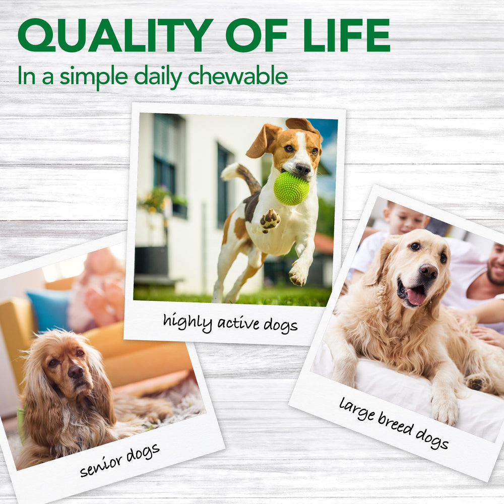 Emballage Vet’s Best – boîte claire et qualité garantie