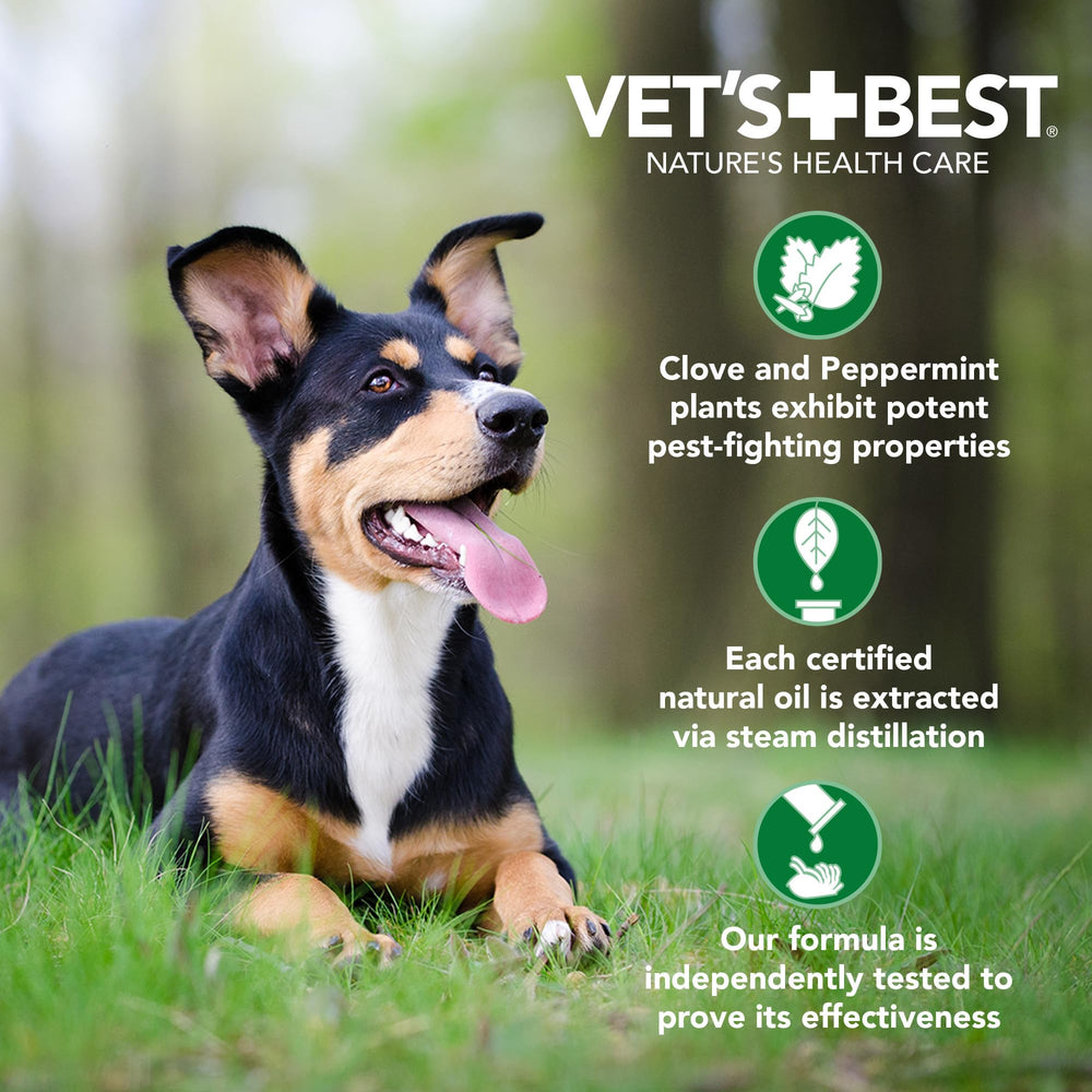 Emballage USA — 4 mois pour chiens moyens.