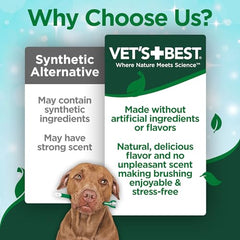 Gel dentifrice enzymatique Vet's Best pour chien, brossage en douceur.