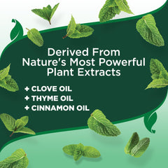Ingrédients botaniques Vet's Best: clou de girofle et menthe.