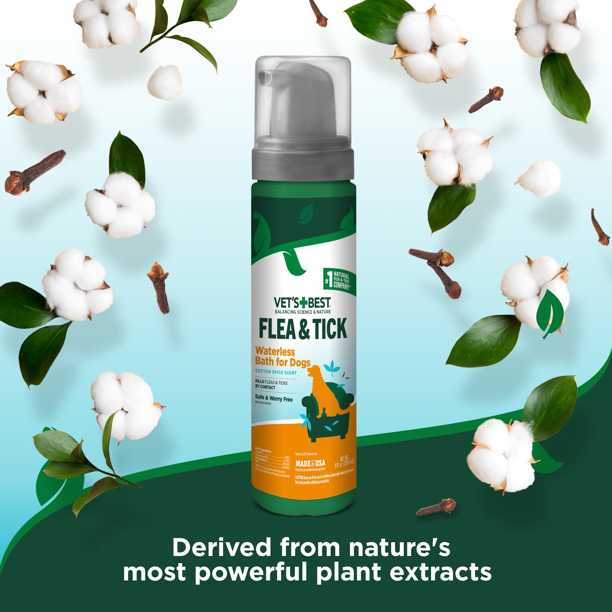 Menthe poivrée et eugénol pour une protection naturelle.