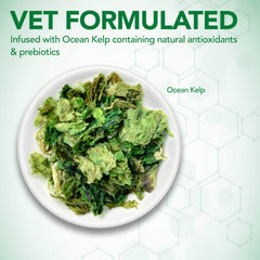 Vet's Best Probiotic Soft Chews – chien qui savoure le goût poulet.