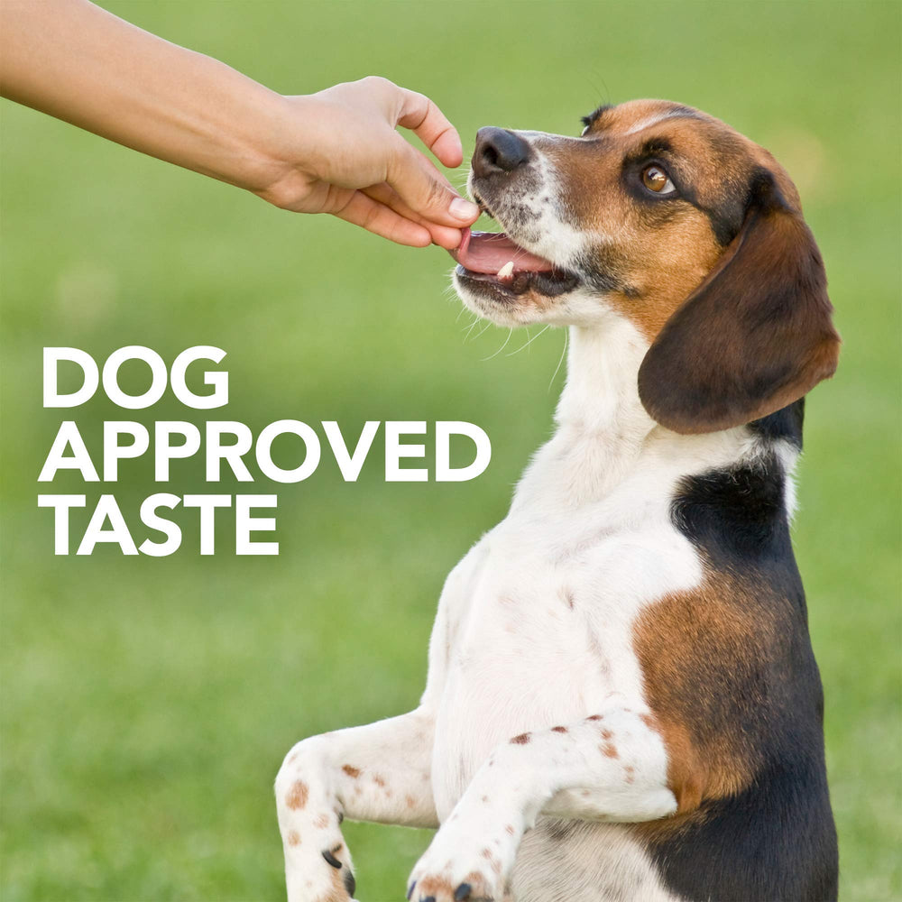 Vet's Best Probiotic Soft Chews – ingrédients prébiotiques, soutien du microbiome.