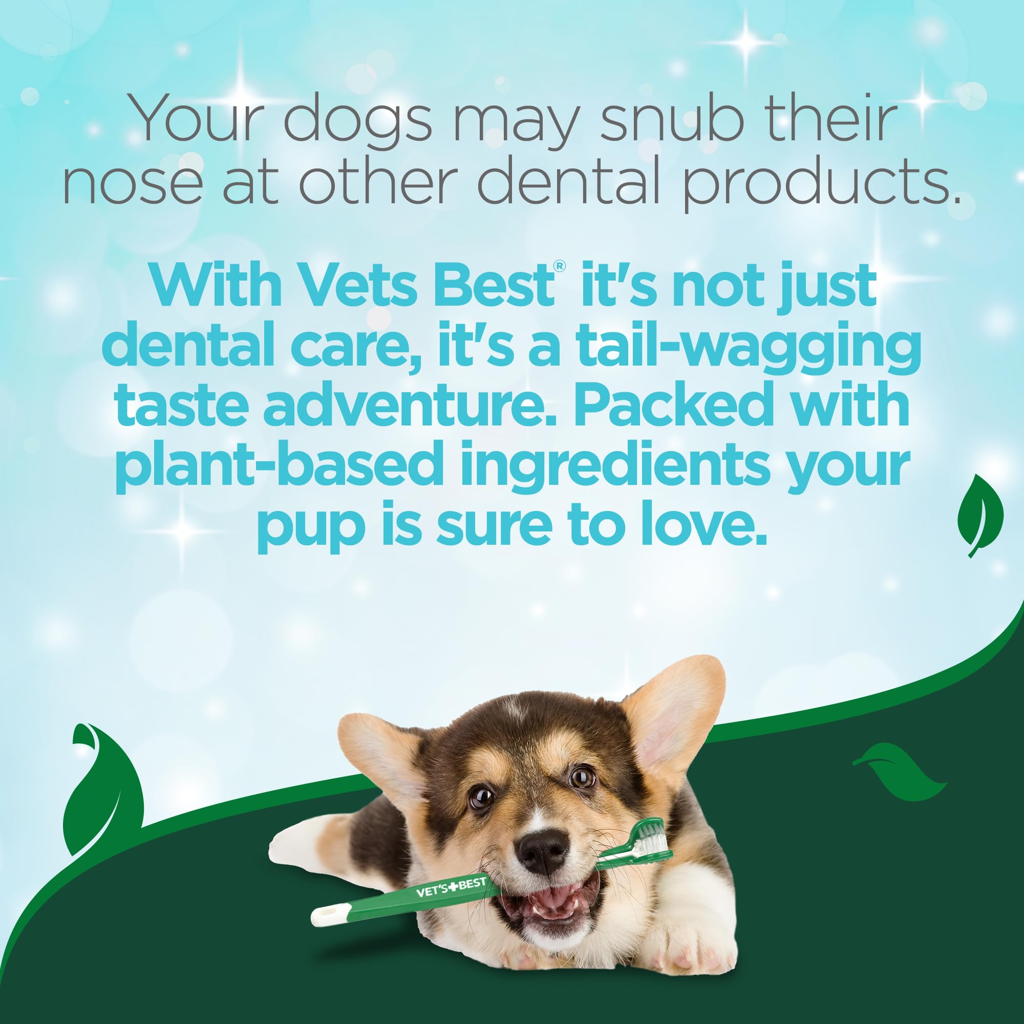 Vet's Best-Santé-buccale-animaux: potentiel pour une haleine plus fraîche et des dents propres.