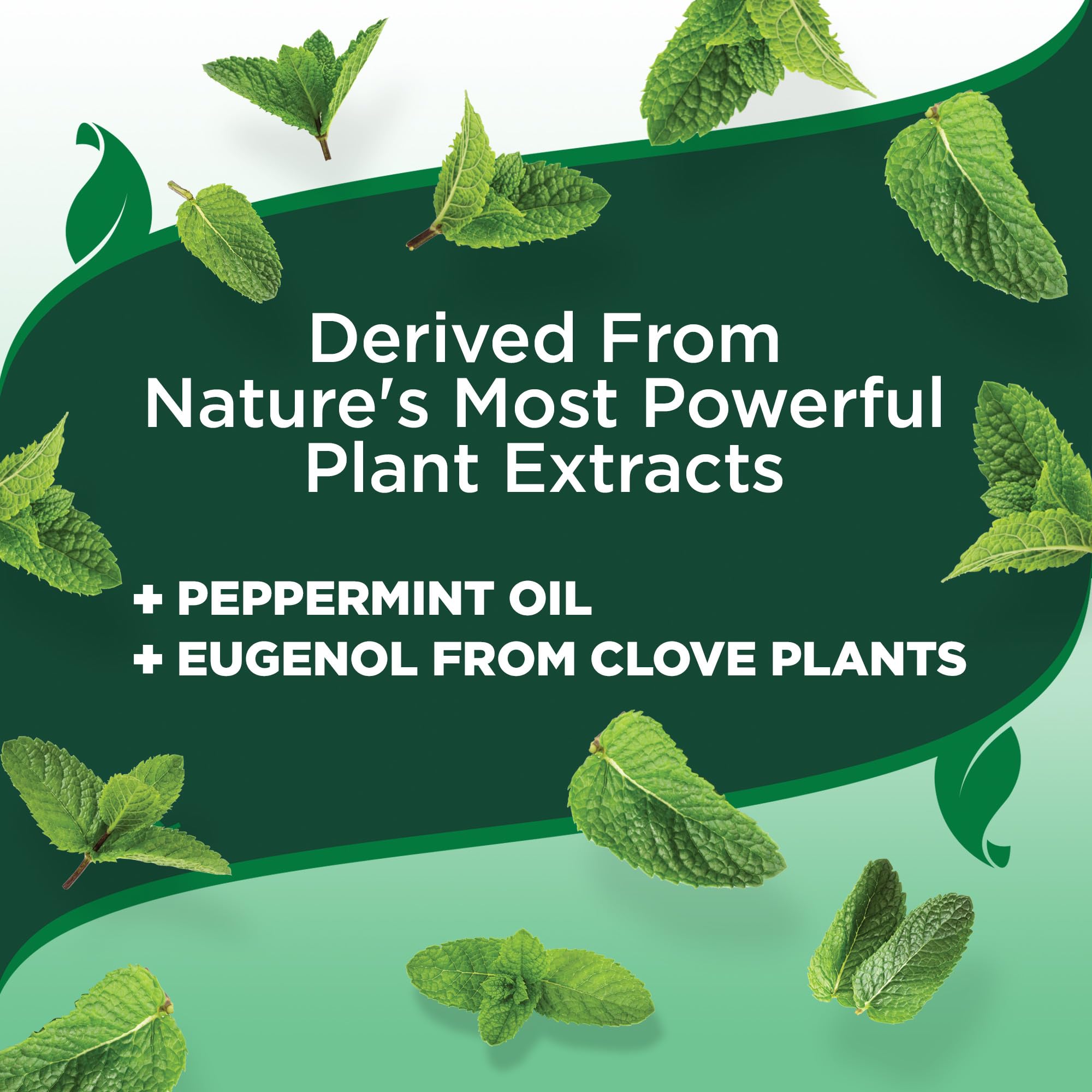 Vet's Best sécurité animaux et plantes – produit sans produits chimiques agressifs