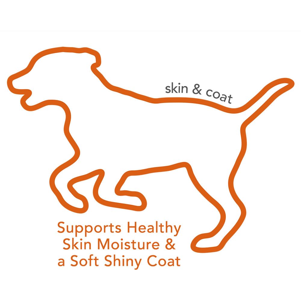 Vet's Best Skin & Coat Soft Chews, biotine, zinc et vitamine E nourrissent peau et poil.