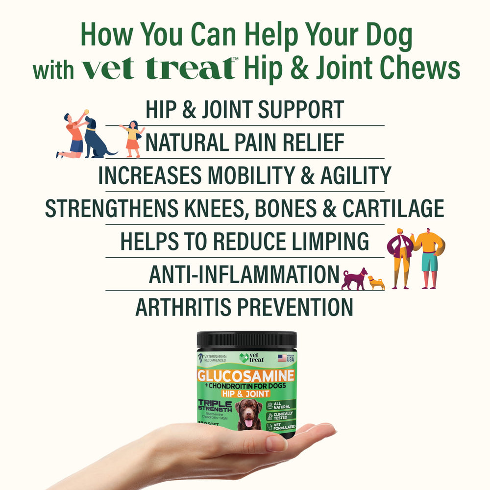 Vet Treat glucosamine — bouteille pour faciliter l'administration