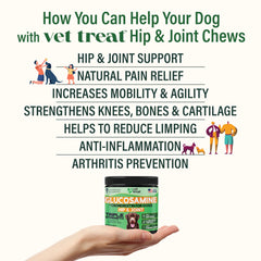 Vet Treat glucosamine — bouteille pour faciliter l'administration