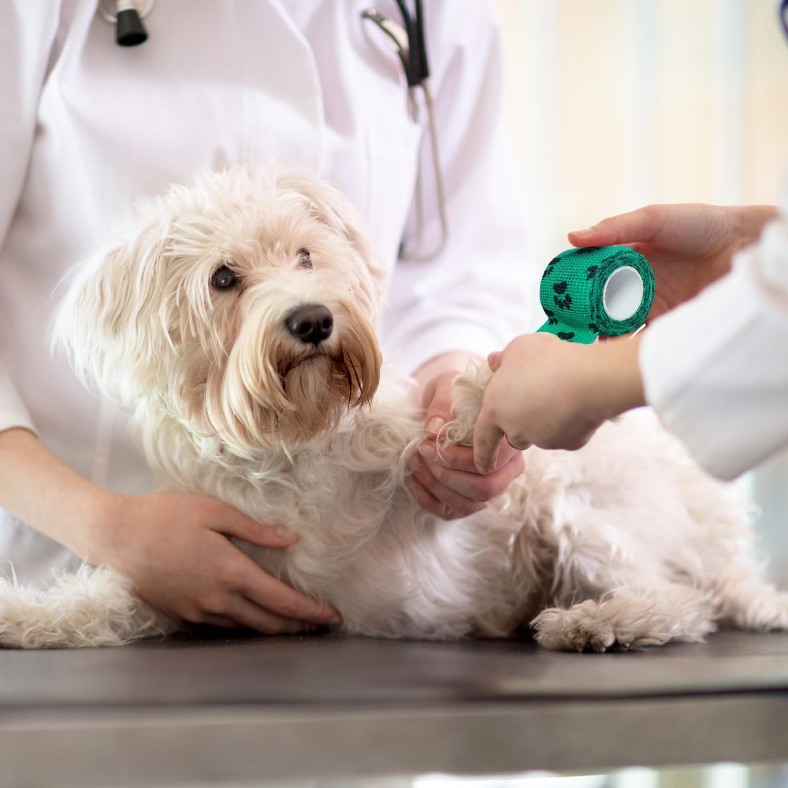 Vet Wrap bandage oiseau noir: utilisation rapide sur divers animaux.