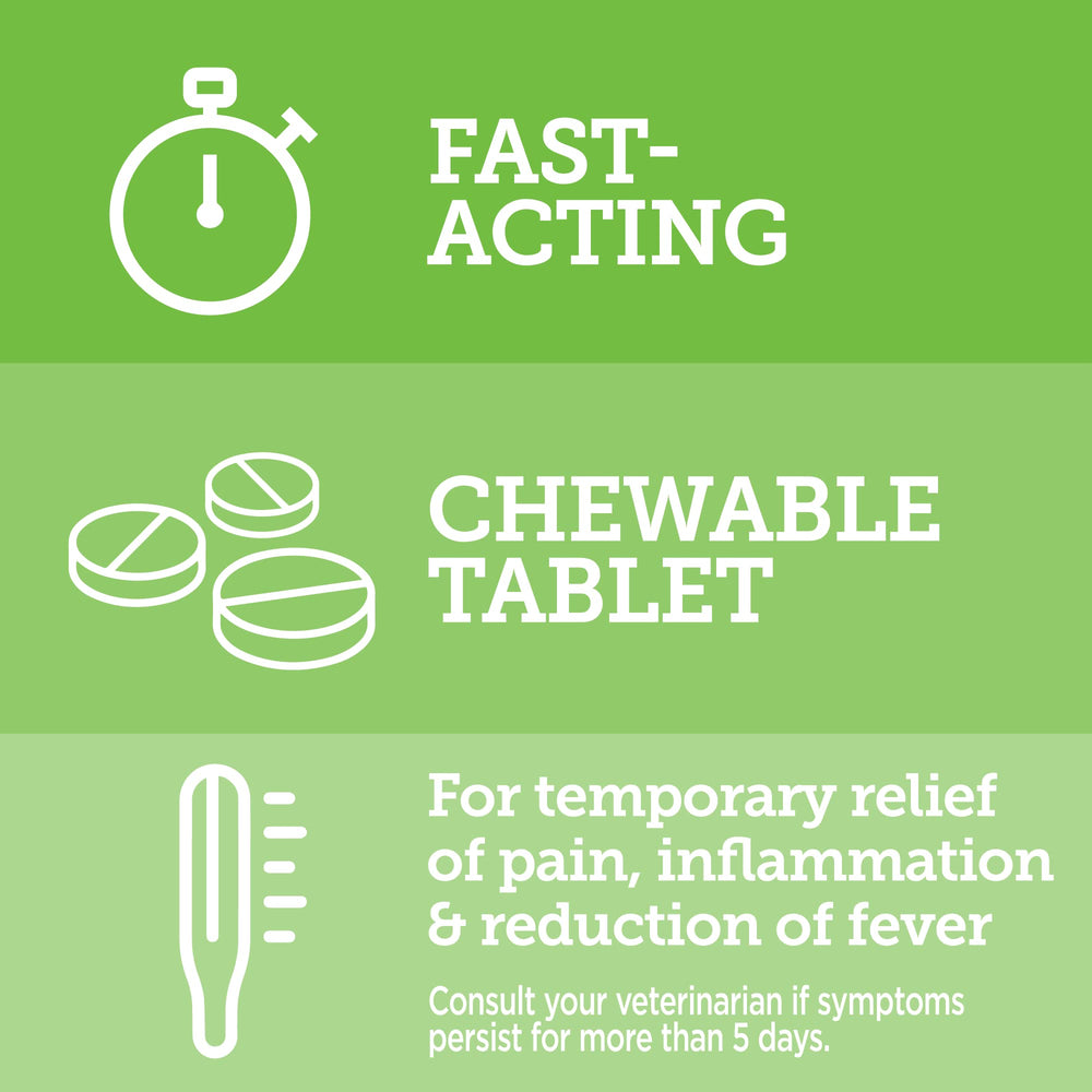 Chien acceptant Vetality Aspirin, illustration d'une administration simple et sans stress.