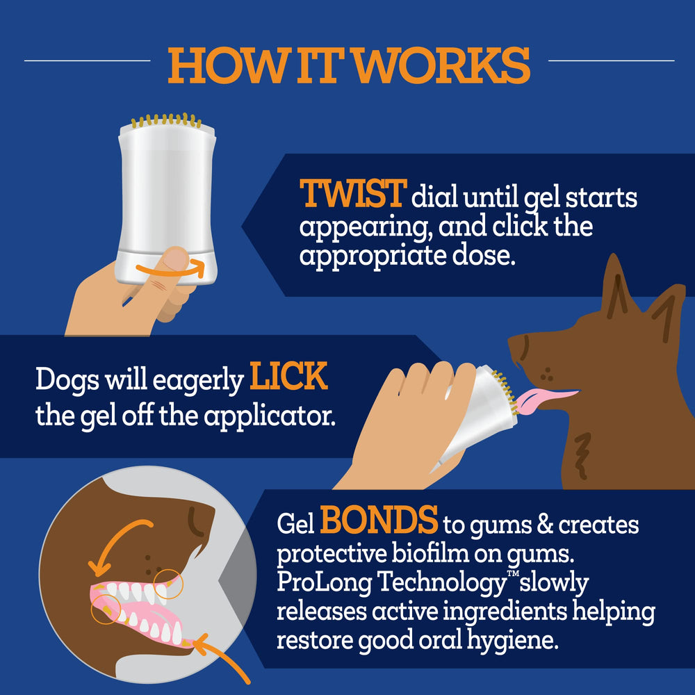 Vetality Twist et Lick: sans brosse, méthode facile et rapide pour chiens.