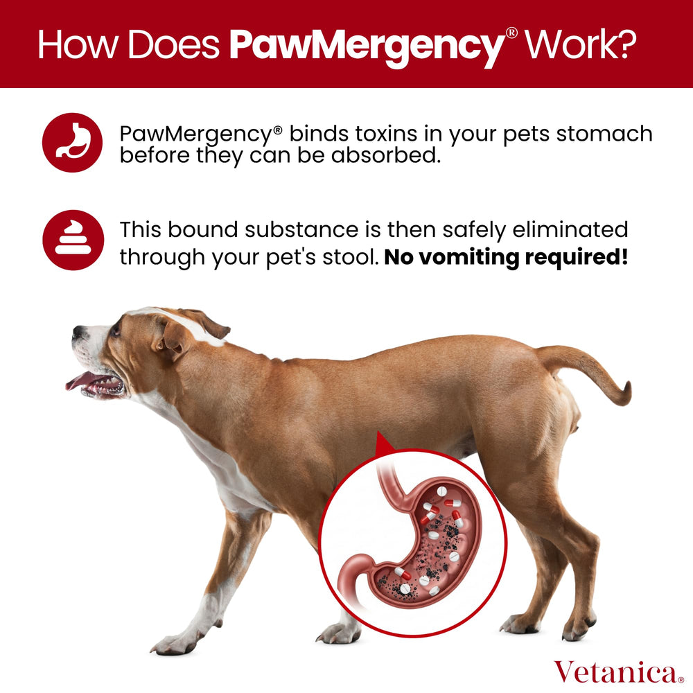 Vetanica PawMergency : administration orale directe ou avec nourriture.