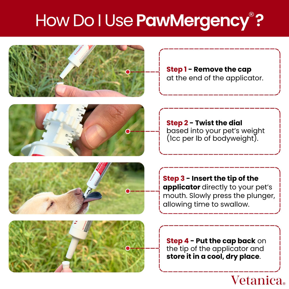 Vetanica PawMergency : longue durée de conservation jusqu’à deux ans.
