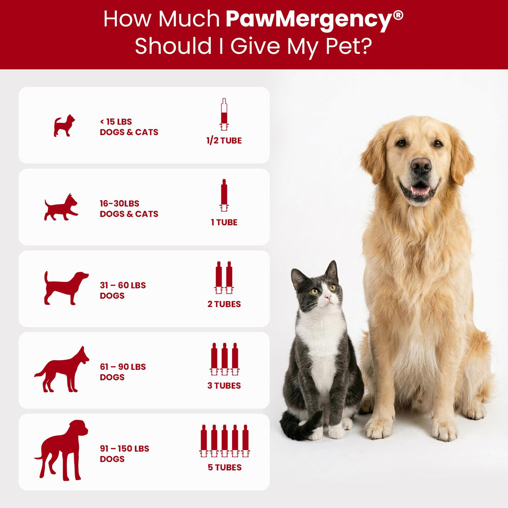Vetanica PawMergency : formulation charbon actif et kaolin pour soutien digestif.