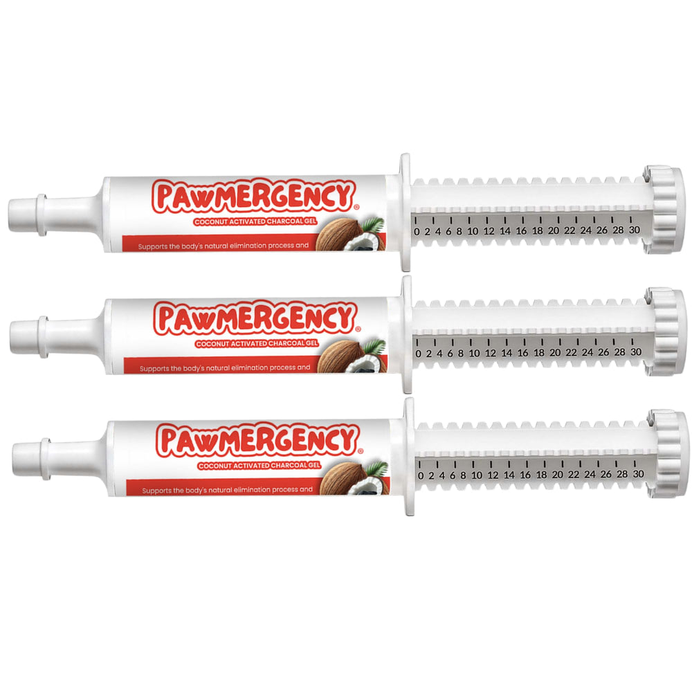 VetAnica PawMergency kit-secours charbon actif, prêt à l’emploi pour les urgences animaux.