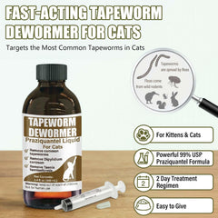 Pipette VetaSure facilitant l’administration directe