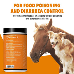 VetDtox Charbon Actif – aide potentielle à la digestion des chevaux.