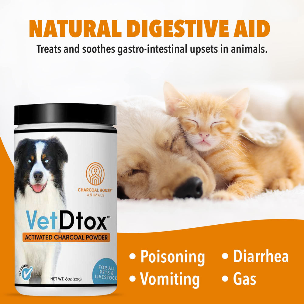 VetDtox Charbon Actif – administration facile pour chien.