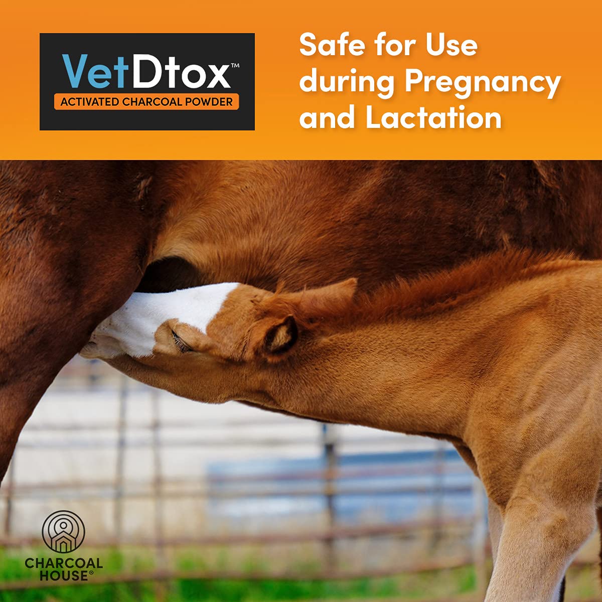 VetDtox Charbon Actif – réduction des odeurs animales en écurie.
