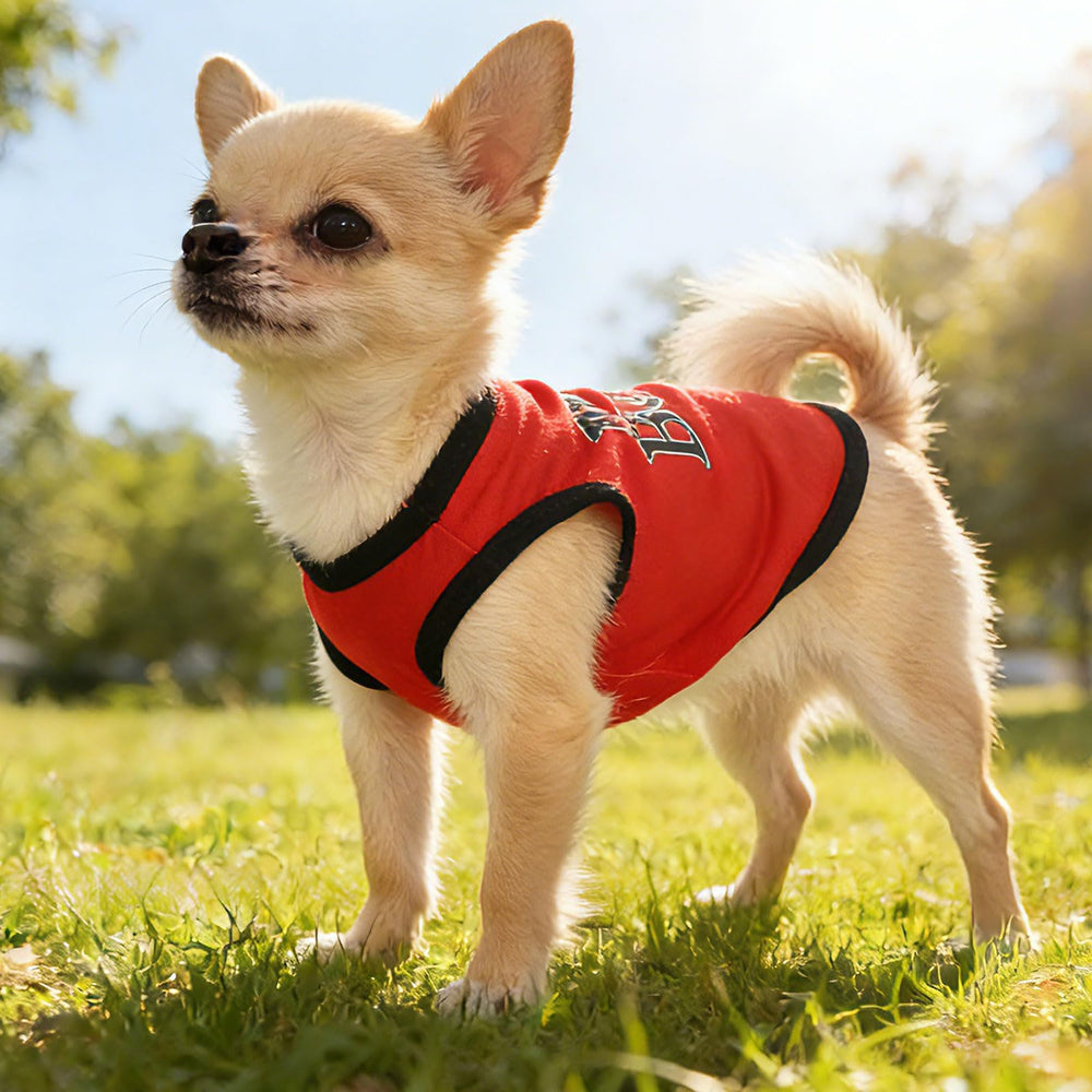 Ensemble vetements-chien-petit: coeur-balloon rose, style ludique et confort durable.