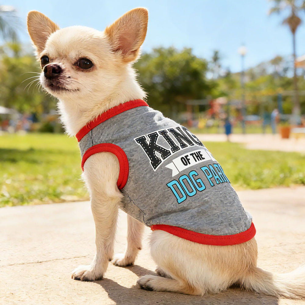 Ensemble vetements-chien-petit: nuage arc-en-ciel, design charmant pour sorties.