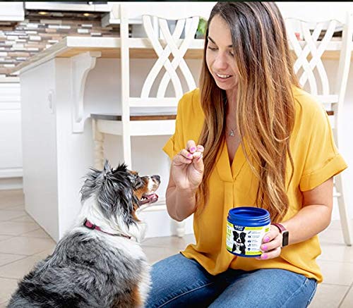 Vetericyn All-in-1: soutien articulations et os pour chien