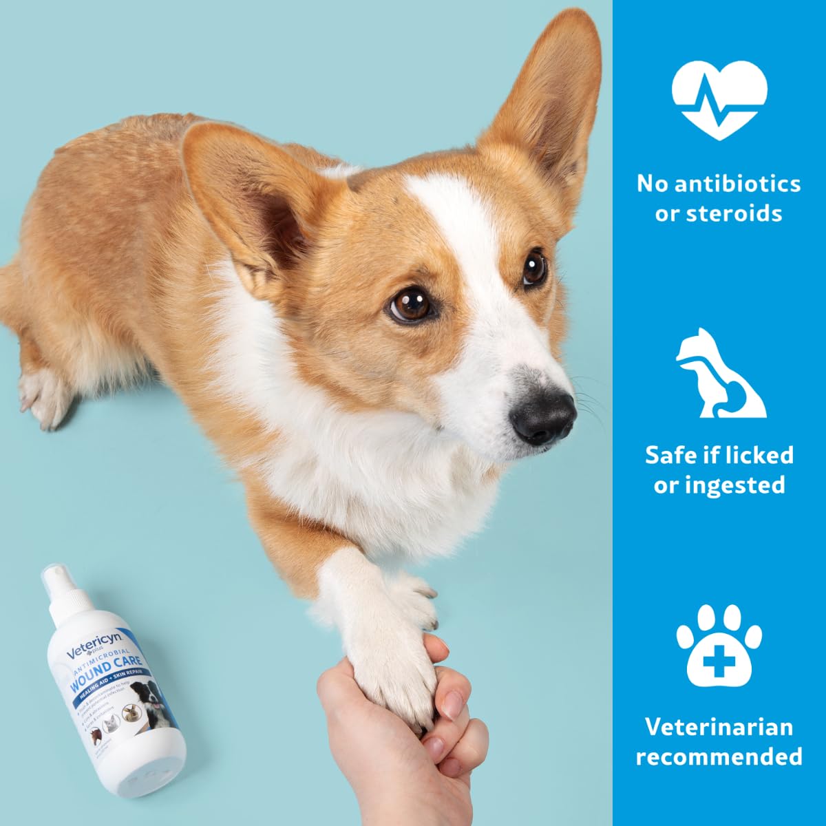 Application Vetericyn Plus pour tout animal : routine de soins de la peau.