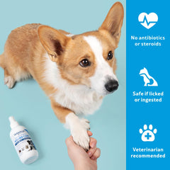 Application Vetericyn Plus pour tout animal : routine de soins de la peau.