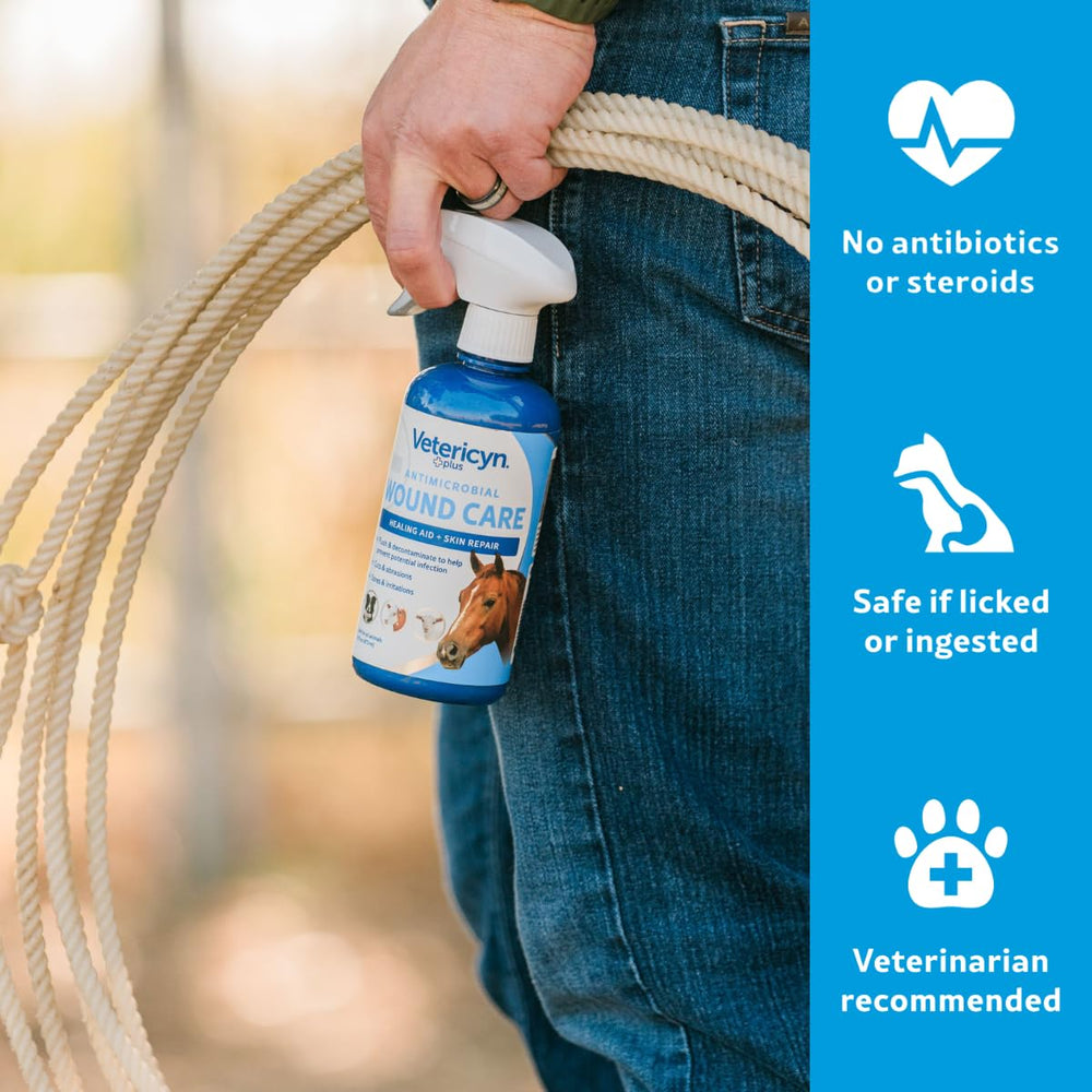 Soin peau cheval par spray Vetericyn Plus, irritations atténuées.