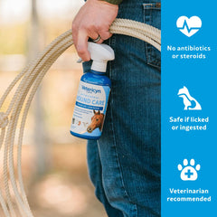 Soin peau cheval par spray Vetericyn Plus, irritations atténuées.