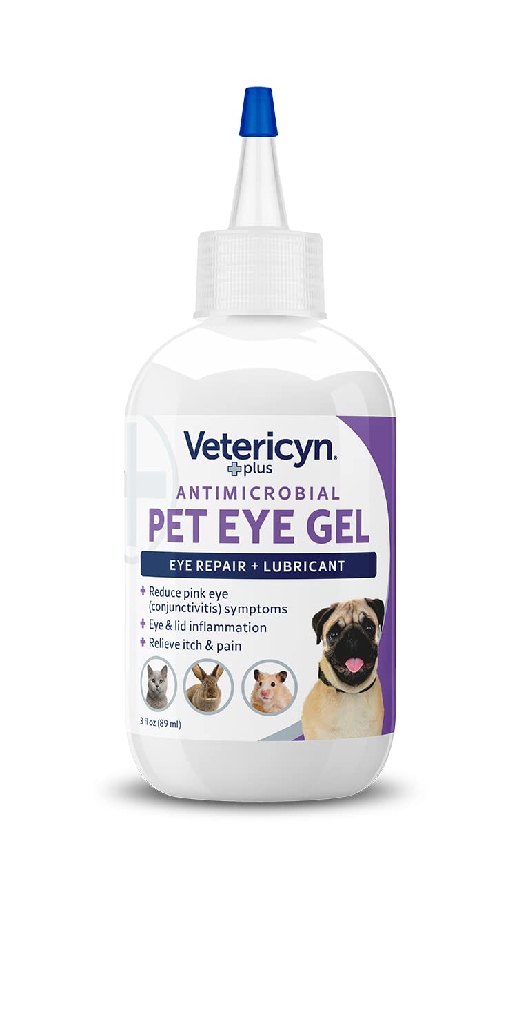 Regard d’un chien après l’application du gel oculaire Vetericyn Plus.