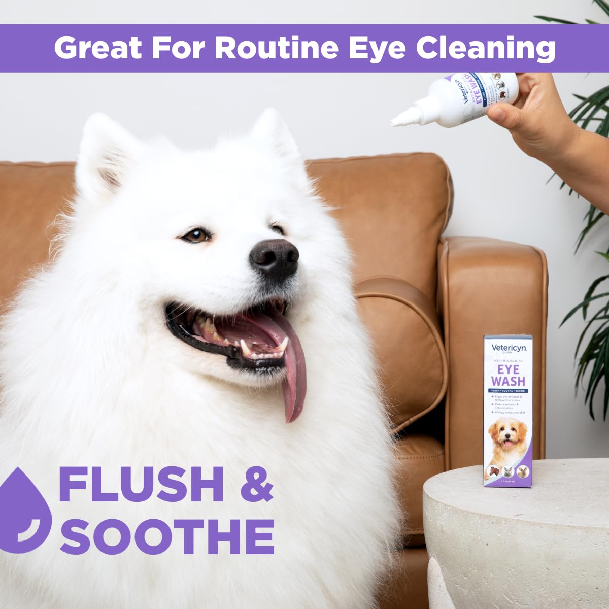 Flacon Vetericyn Plus – sécurité et non toxique pour les yeux.