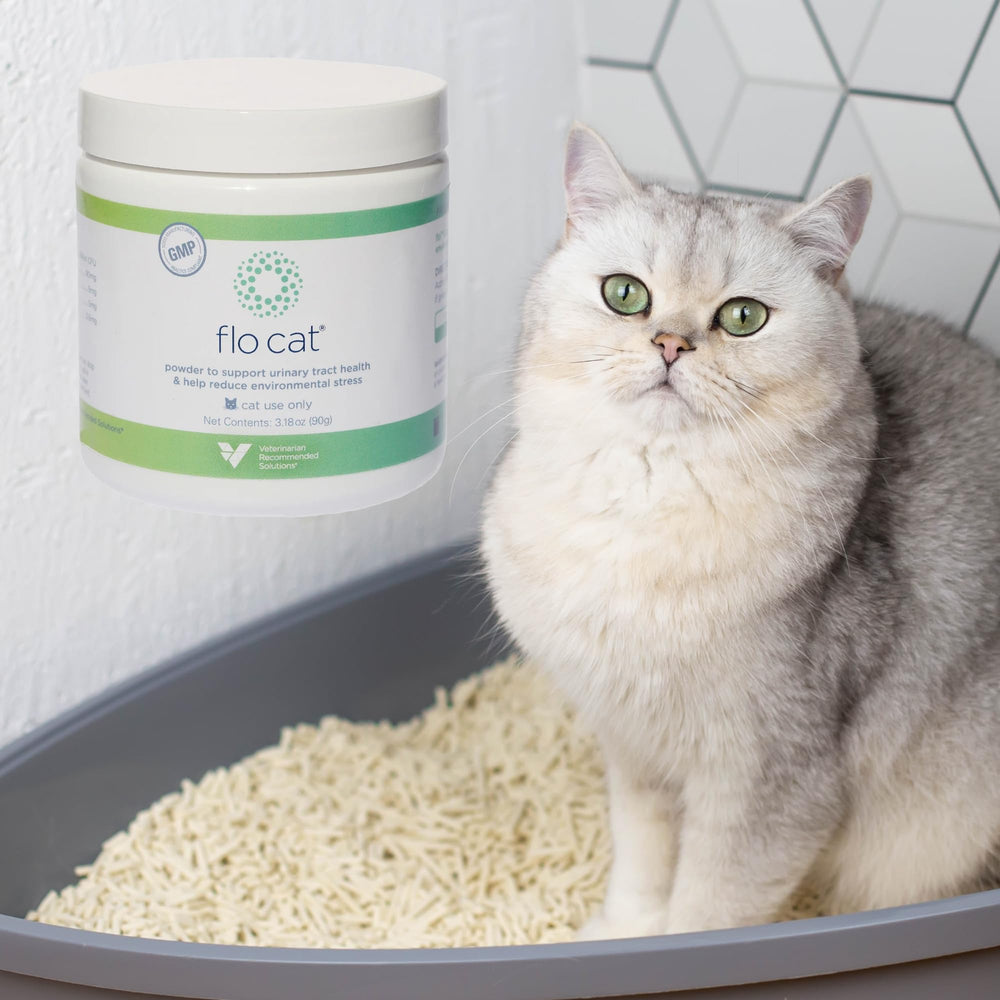 Chat détendu après Flo Cat Cranberry, effet apaisant potentiel.