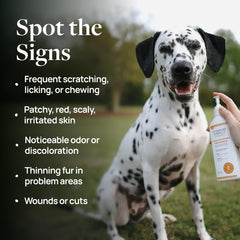 Application ciblée par Veterinary Formula Clinical Care sur la peau des chiens et chats.