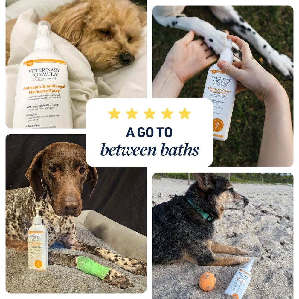 Marque Veterinary Formula Clinical Care recommandée par propriétaires et vétérinaires.