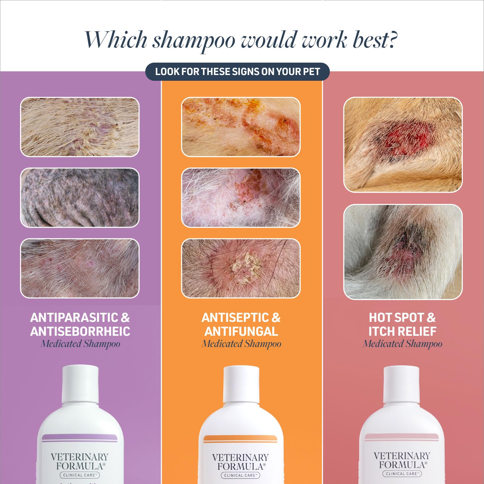 Mousse du Shampoing Veterinary Formula Clinical Care assure une application facile.