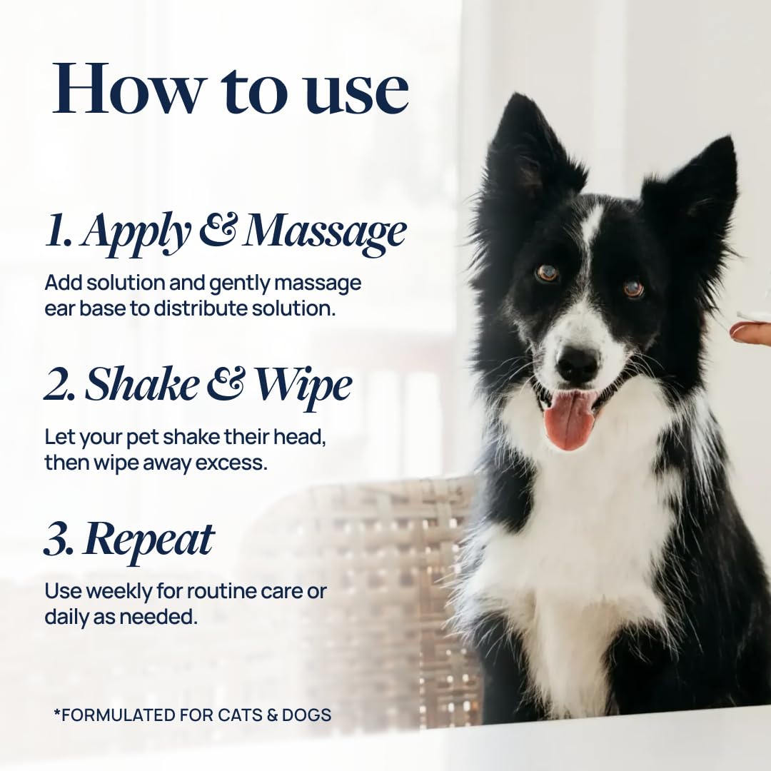 Application sur un chien avec Veterinary Formula Ear Therapy, usage en routine.