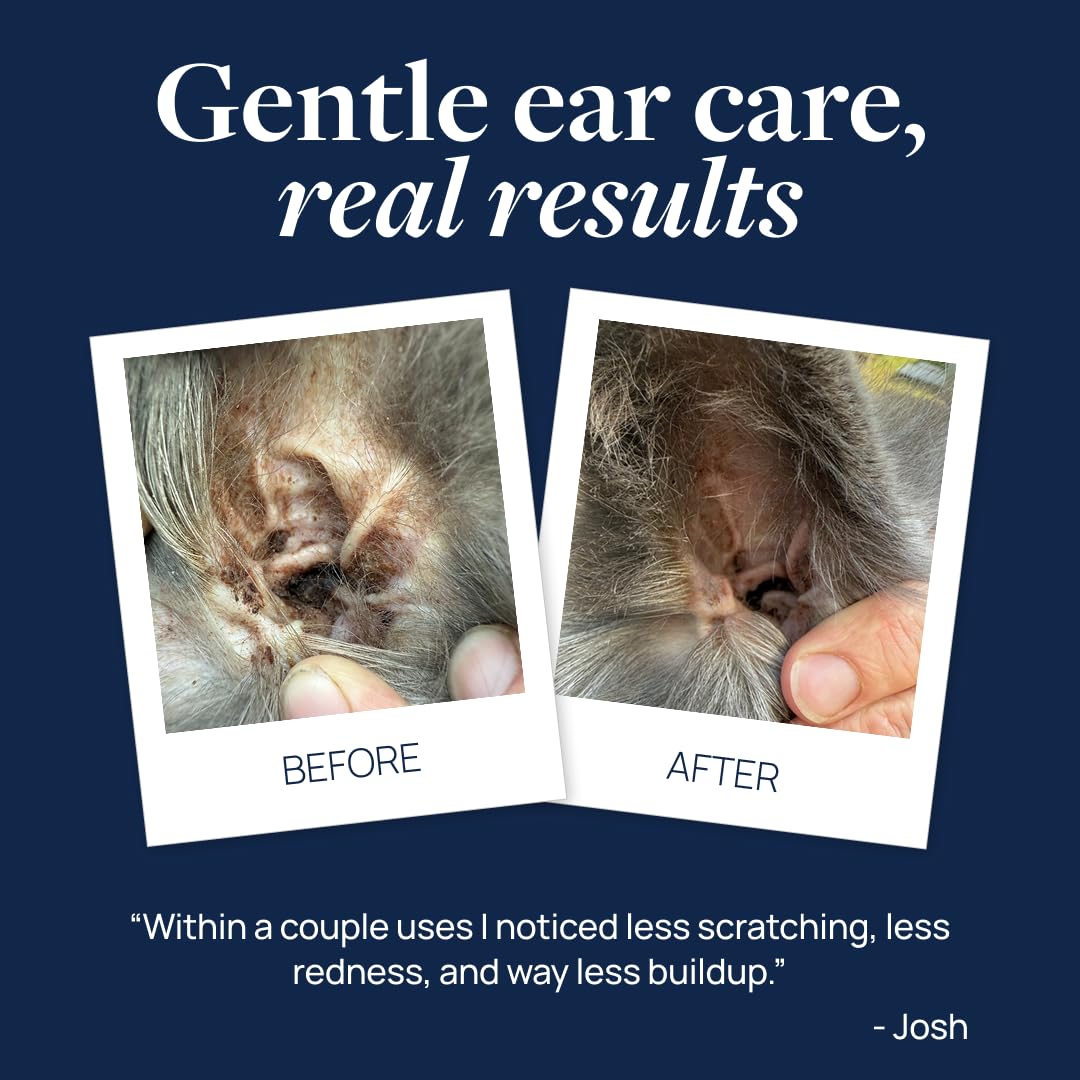 Étiquette claire Veterinary Formula Ear Therapy avec informations simples.
