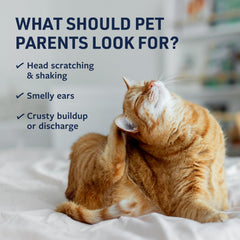 Lingettes douces Veterinary Formula pour oreilles sensibles.