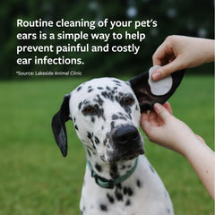 Nettoyage extérieur des oreilles avec Veterinary Formula, réduit débris et odeurs.