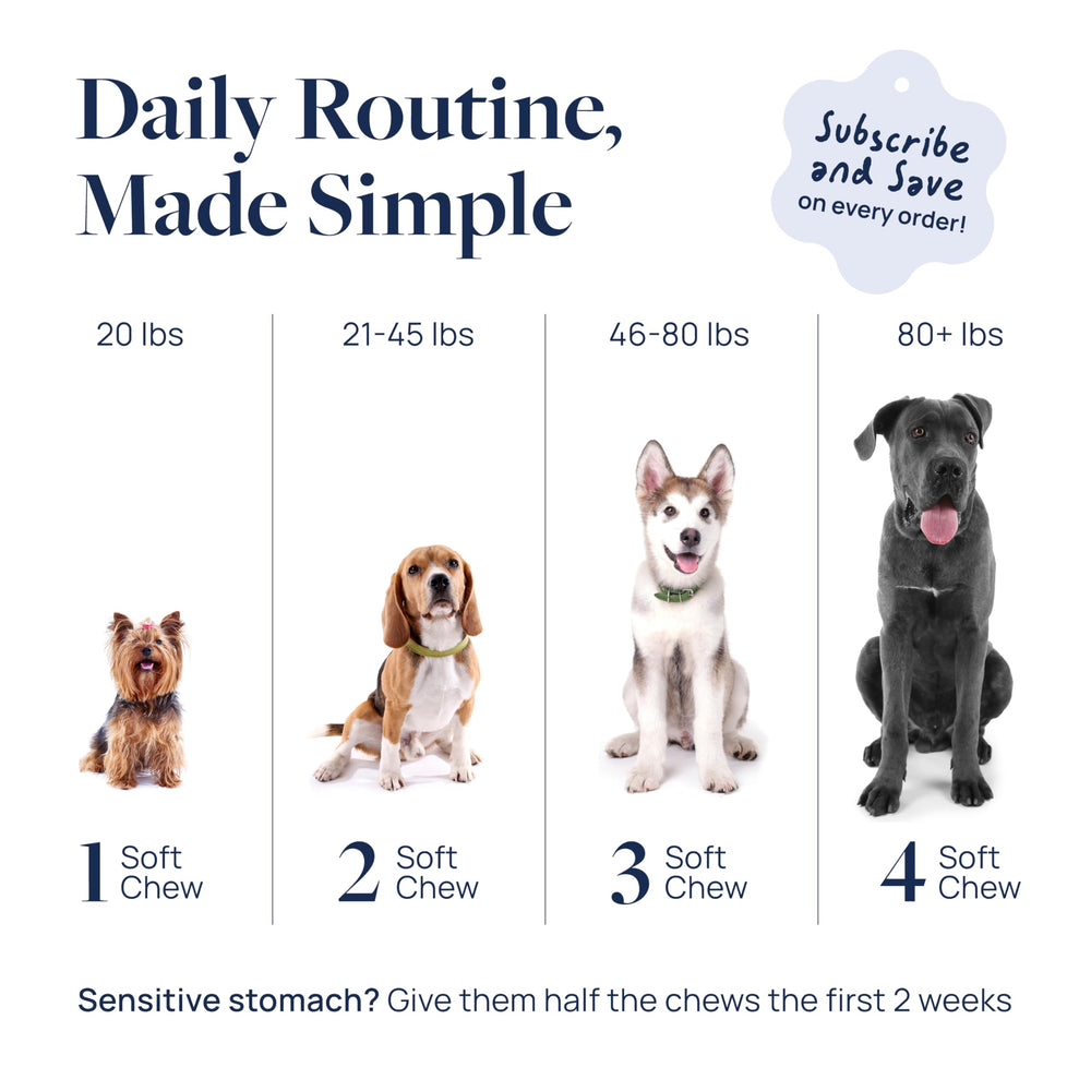 Cannelle de Ceylan et guimauve pour le bien‑être oculaire, Veterinary Formula.
