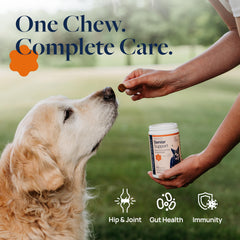 Veterinary Formula Smart Vitality Senior Articulations et flexibilité soutenues par des nutriments
