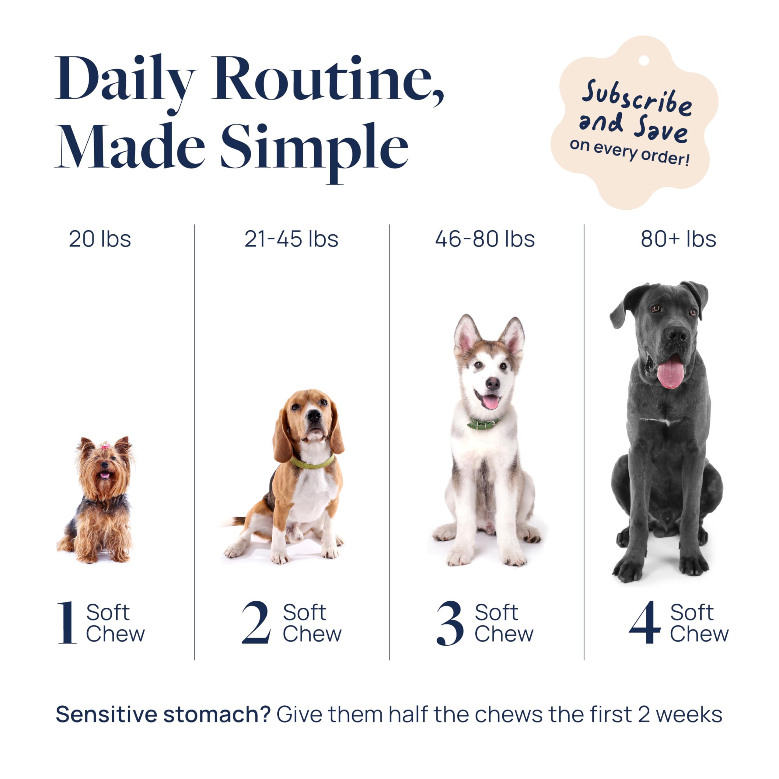 Veterinary Formula Smart Vitality Senior Tramète versicolore pour le soutien immunitaire