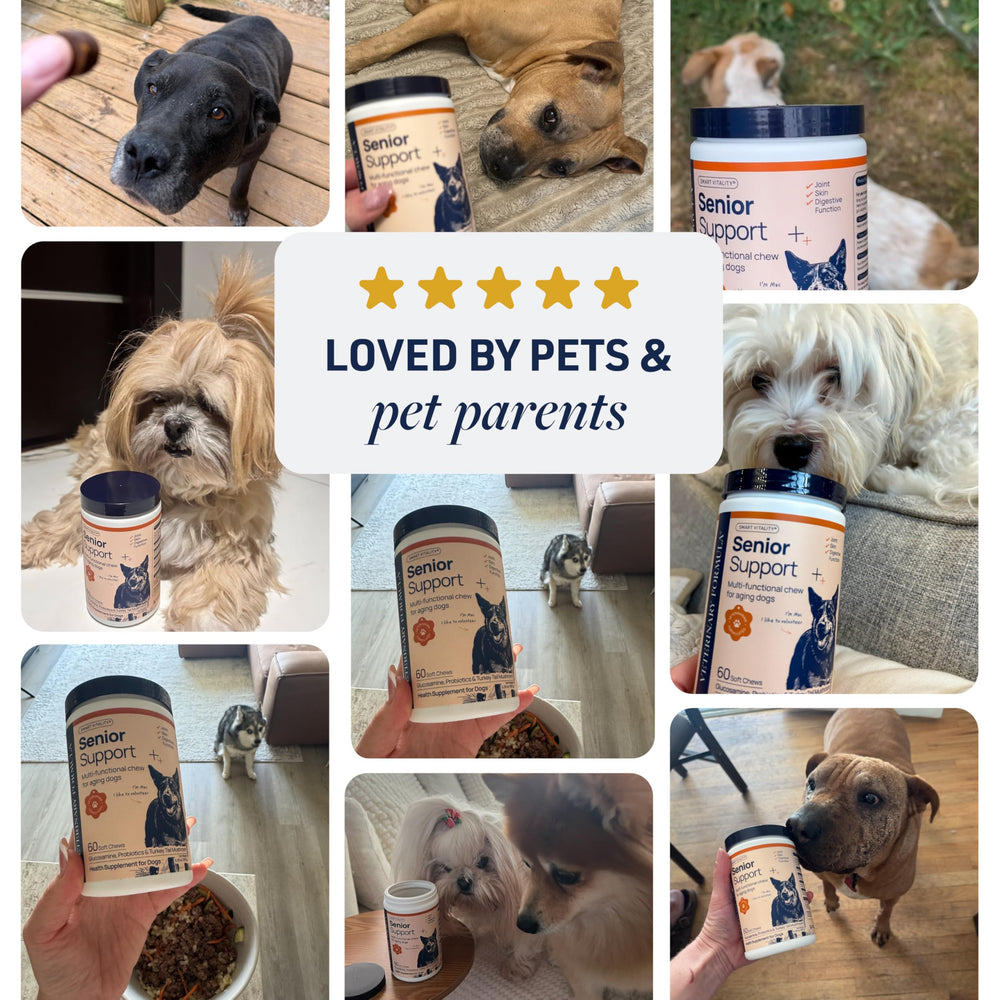 Veterinary Formula Smart Vitality Senior Usage quotidien facile pour chiens seniors