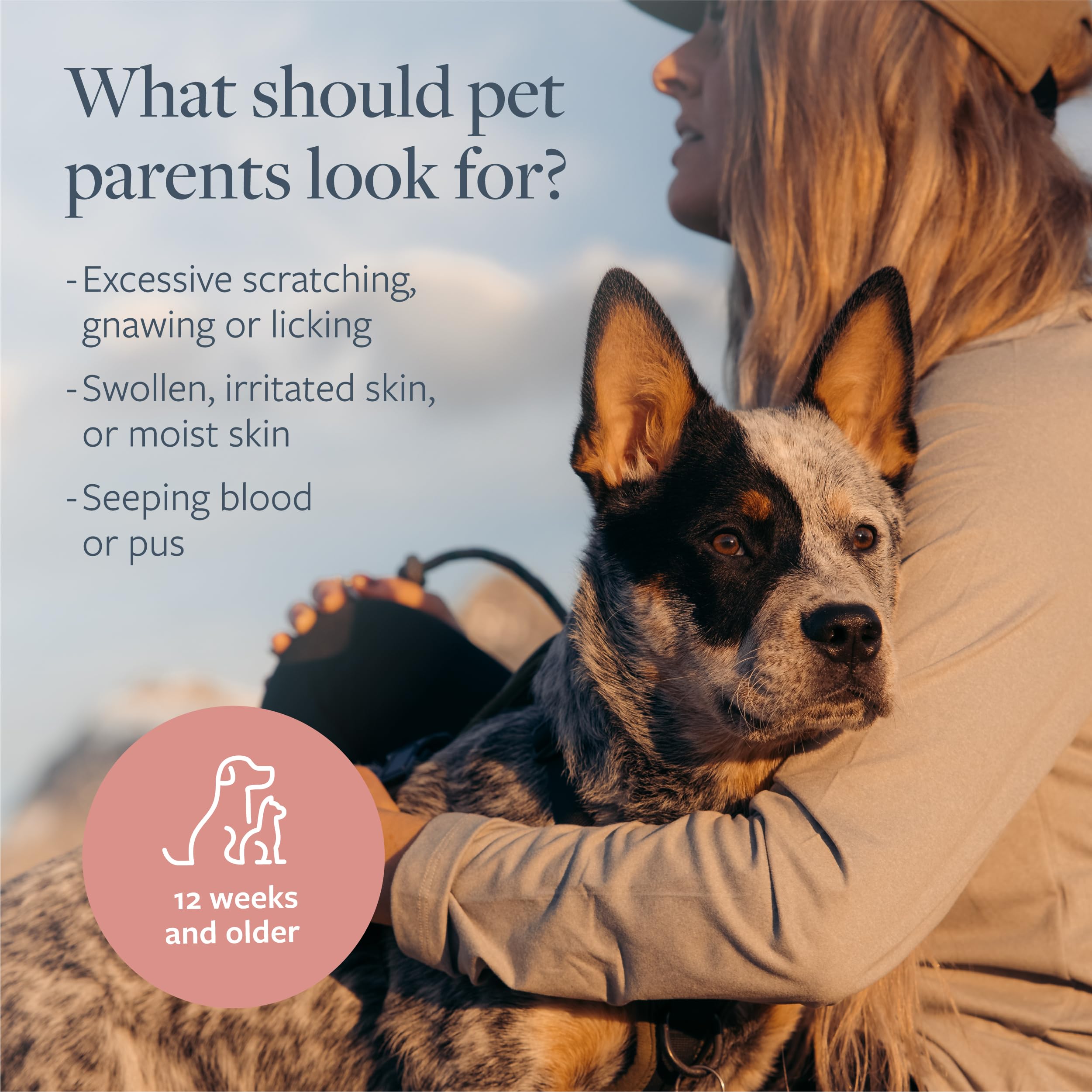 Soulagement des démangeaisons avec Veterinary Formula pelage propre et confortable.