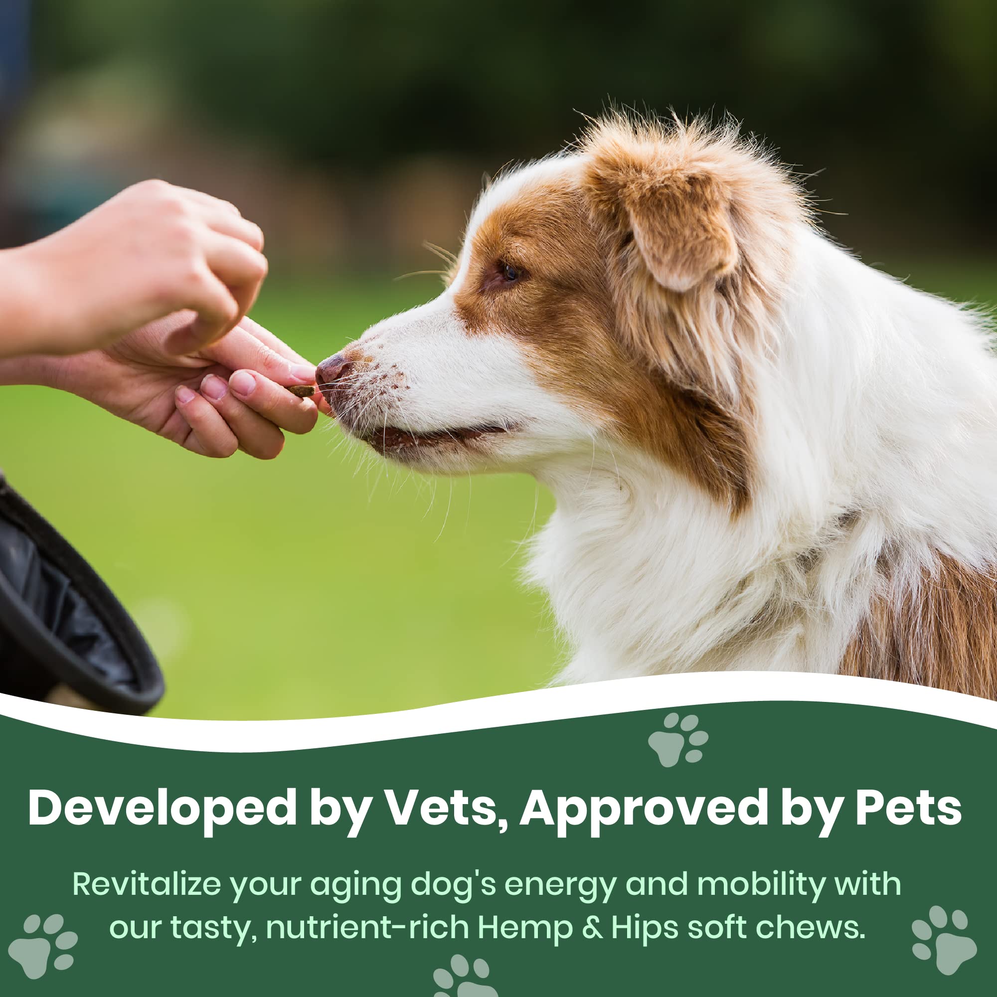 Veterinary Naturals gommes senior chien, friandises savoureuses pour le confort quotidien
