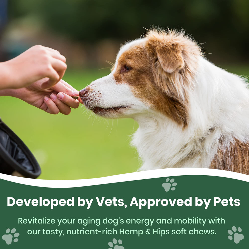 Veterinary Naturals gommes senior chien, friandises savoureuses pour le confort quotidien
