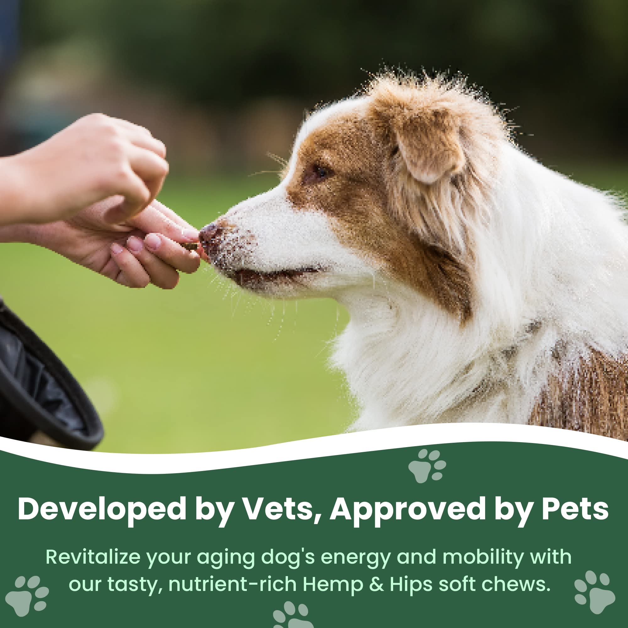 Veterinary Naturals Hemp & HIPS, gommes pour chiens seniors, amélioration possible de la mobilité.