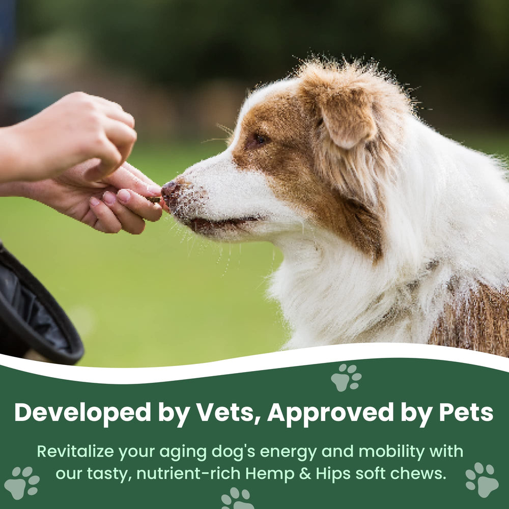 Veterinary Naturals Hemp & HIPS, gommes pour chiens seniors, amélioration possible de la mobilité.