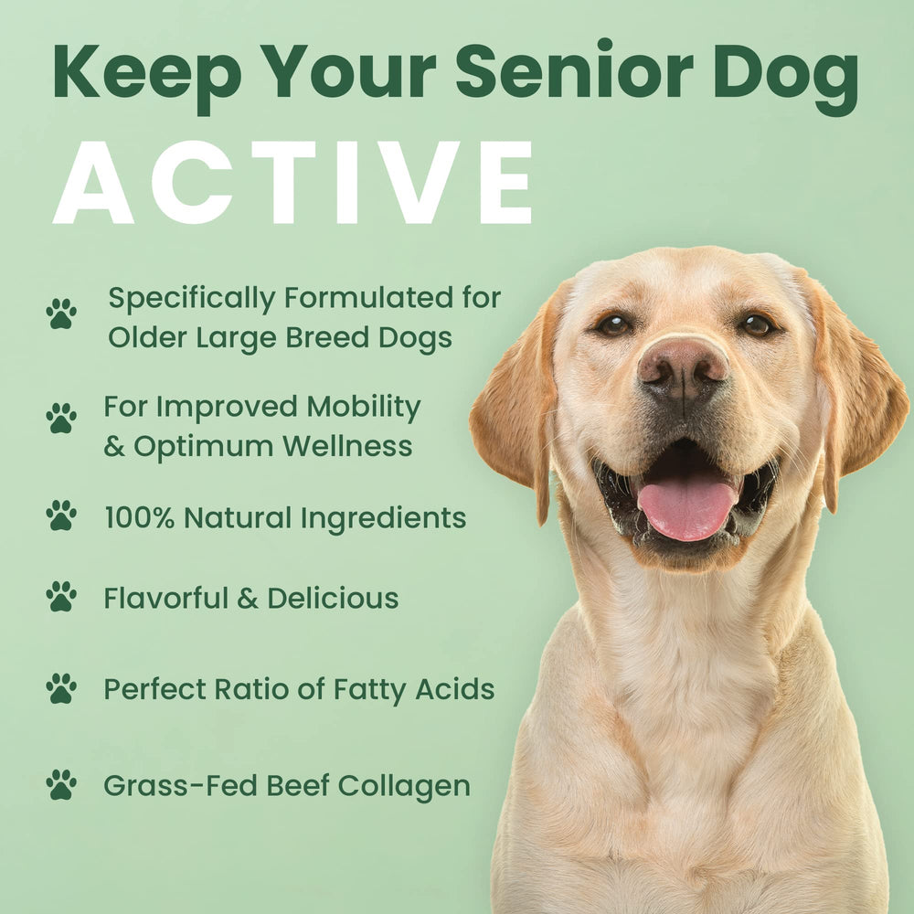 Veterinary Naturals Hemp & HIPS, utilisation quotidienne facile pour chiens adultes et grands.